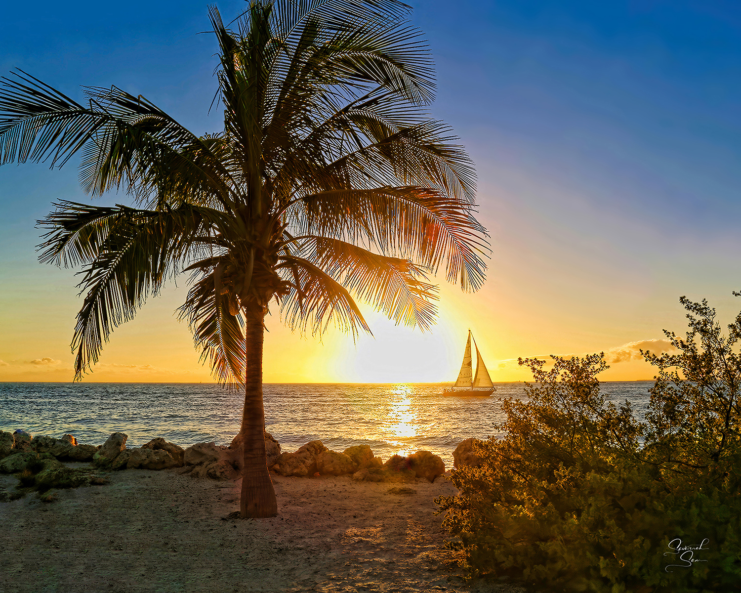 Sunset Dreams_8x10_logo_FINALBEST_website