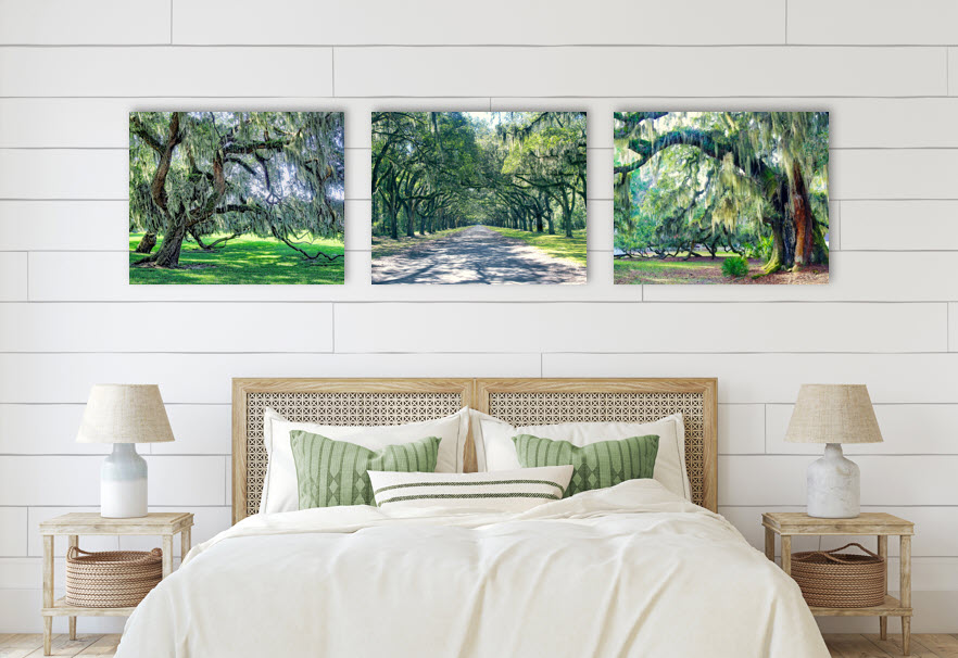 Southern Tree-O_Grouping