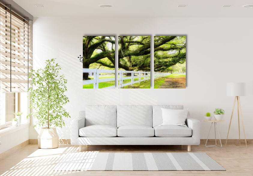 The Canopy_Triptych